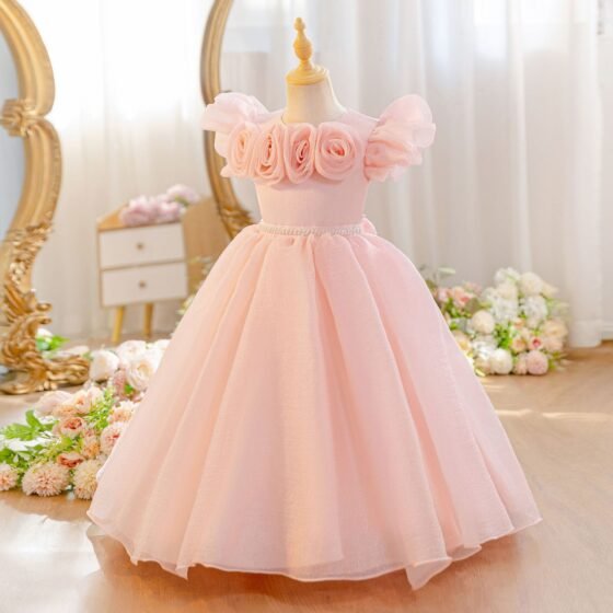 Girls 3D Rose Flower Girl Dress Shimmer Tulle Princess Birthday Gown - Dusty Rose Front View