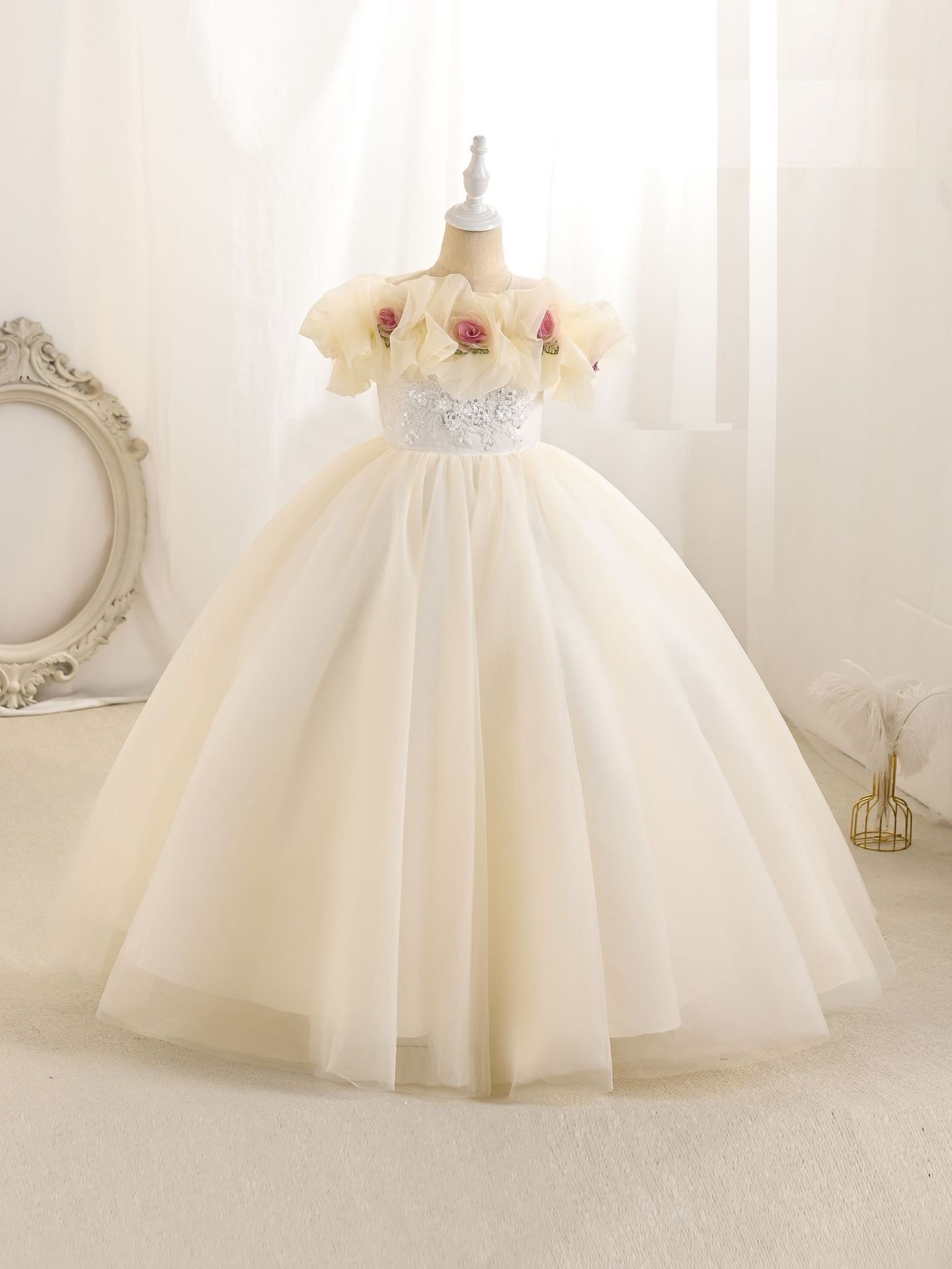Girls champagne flower girl princess dress — full length view